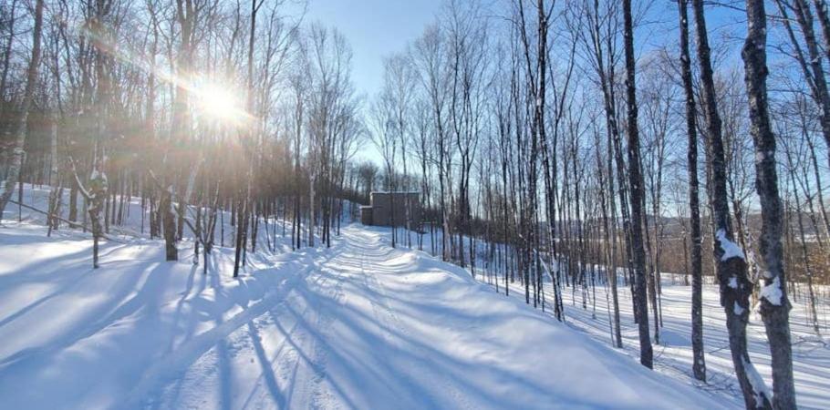 La Conception Chalet Serenity - Mont Tremblant Ski - Spa Sauna Wifi Tv Privet Chic Modern Houseヴィラ エクステリア 写真