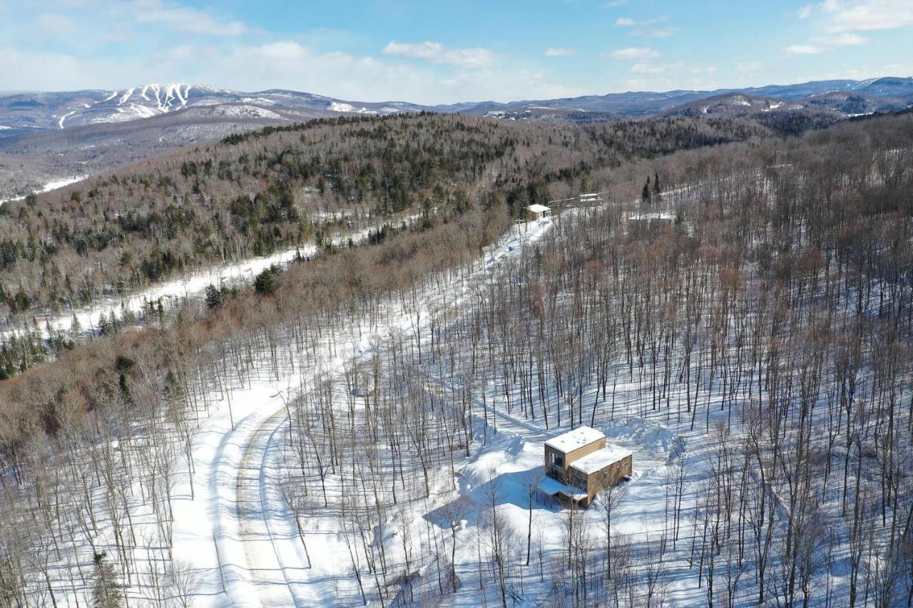 La Conception Chalet Serenity - Mont Tremblant Ski - Spa Sauna Wifi Tv Privet Chic Modern Houseヴィラ エクステリア 写真